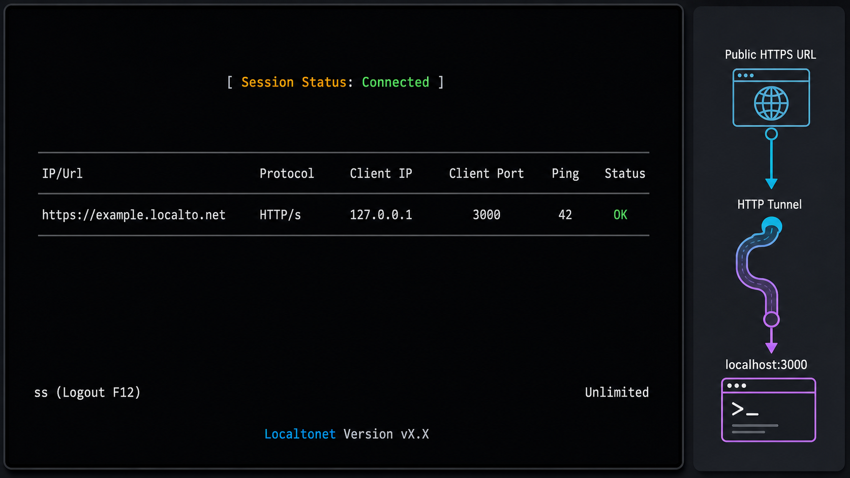 Connected Localtonet console showing an HTTPS tunnel forwarding to port 3000 on localhost.