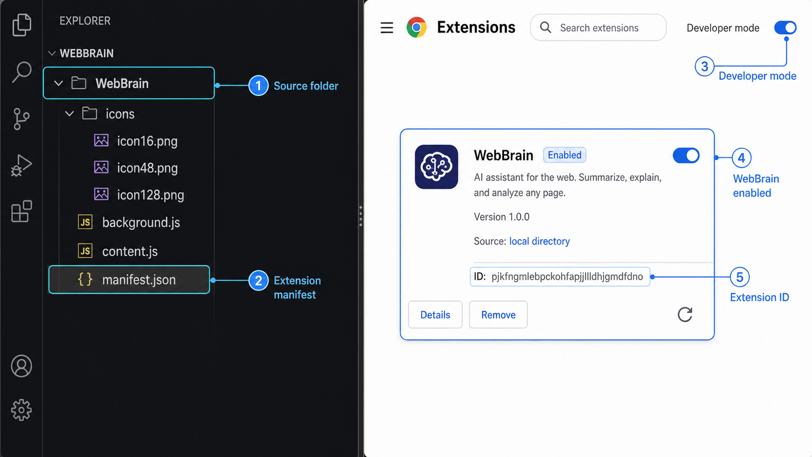 WebBrain source directory loaded as an enabled unpacked browser extension