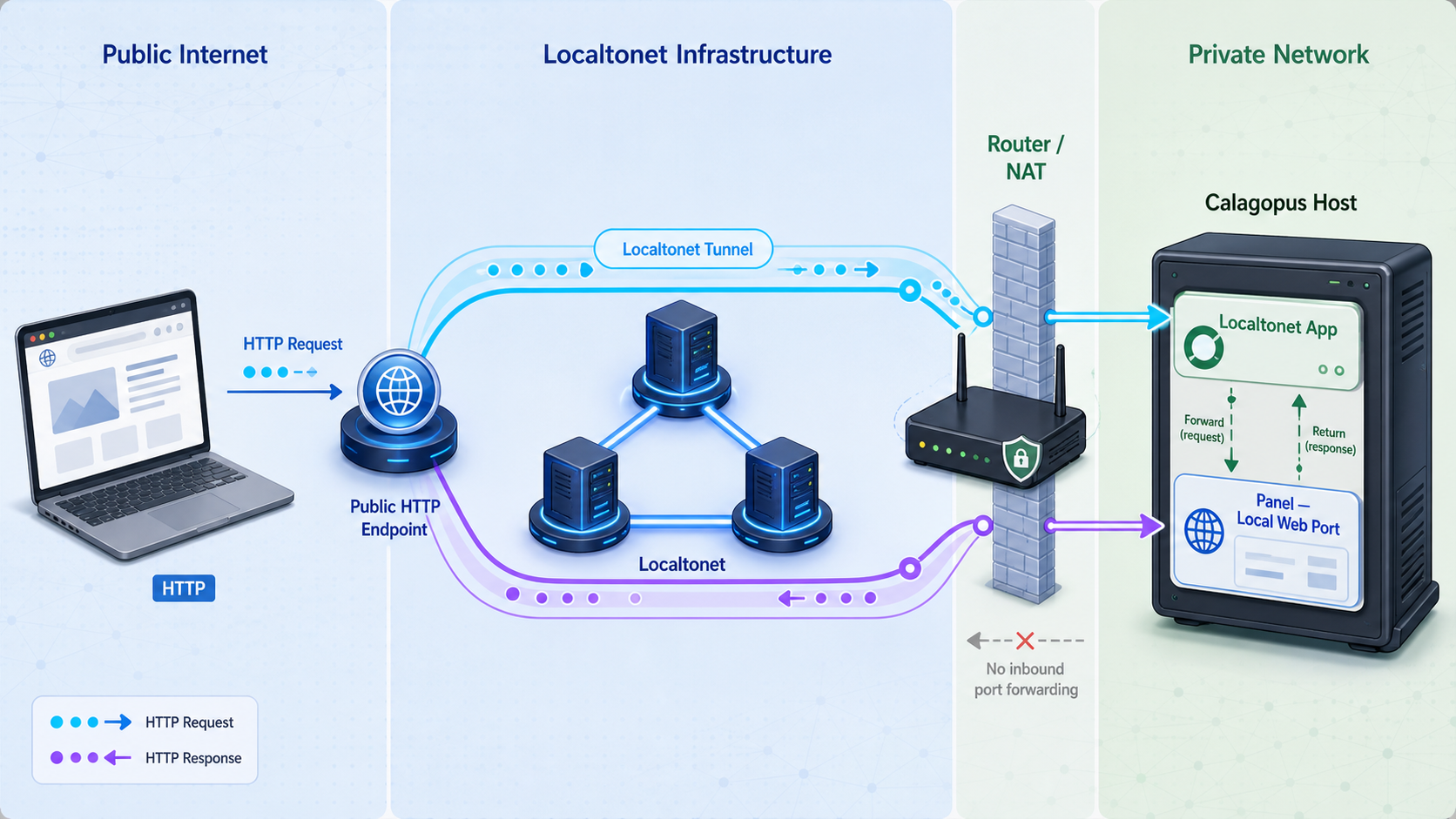 Remote HTTPS traffic reaching the local Calagopus web interface through a Localtonet HTTP tunnel