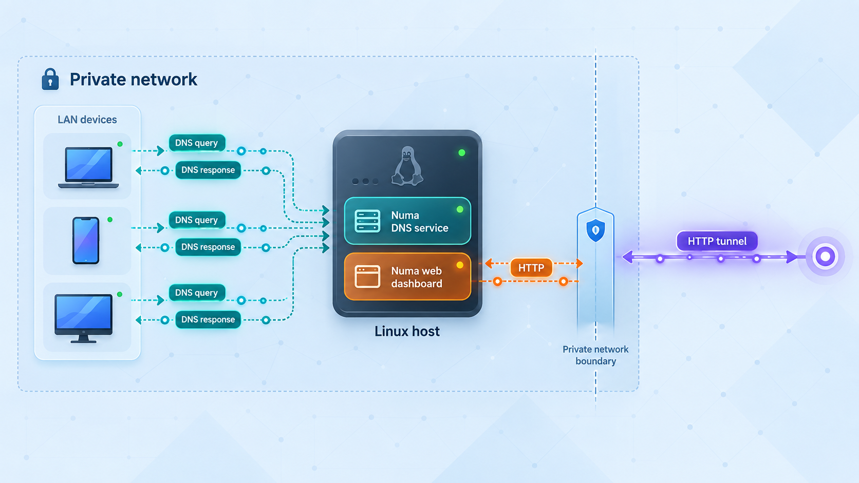 Diagram separating Numa's DNS service from its web dashboard on a private Linux host.
